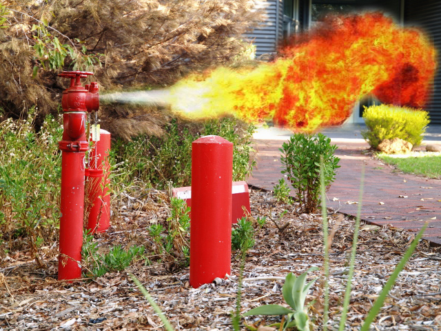 Fire hydrant #2