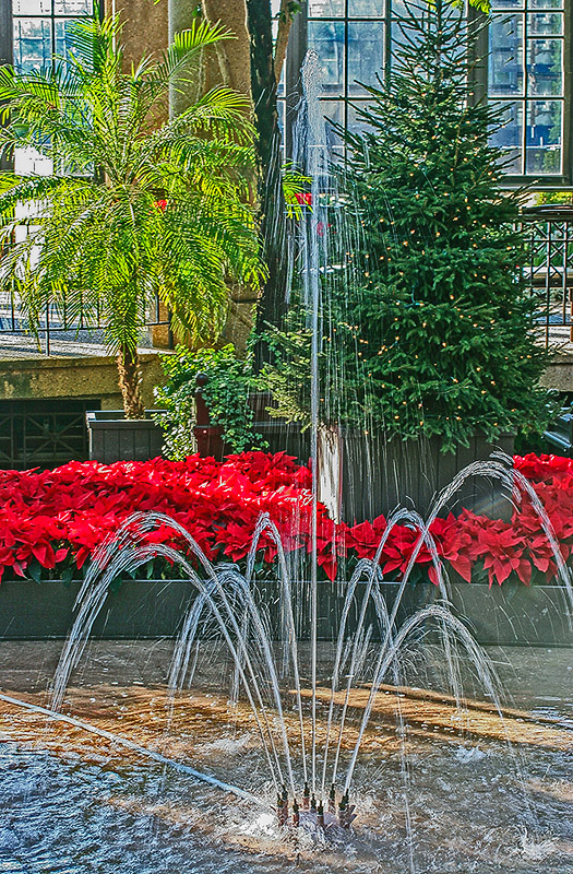 In The Garden At Longwood Conservatory