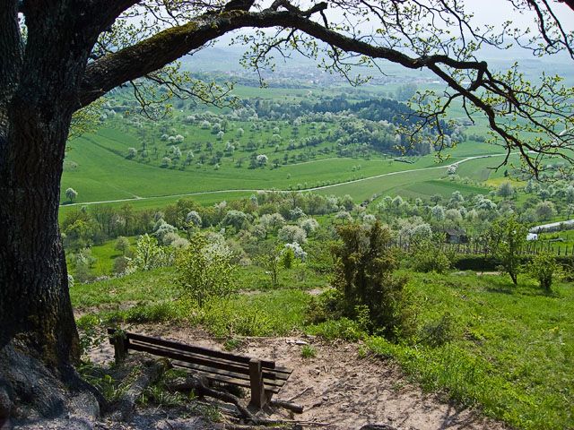 A bench with a view