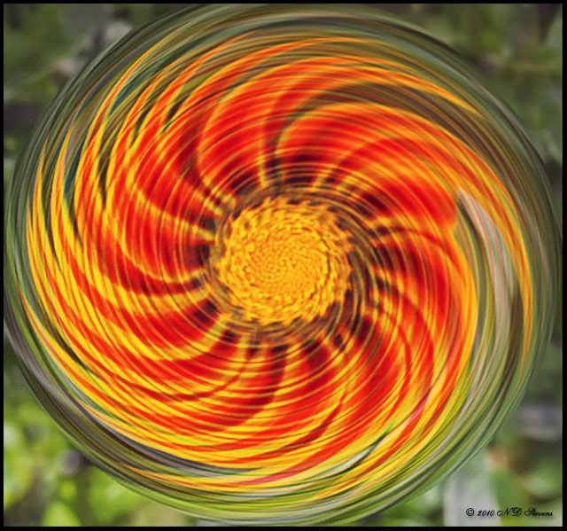 Whirlybird