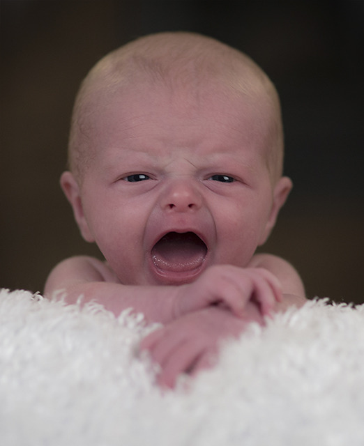 Newborn portrait