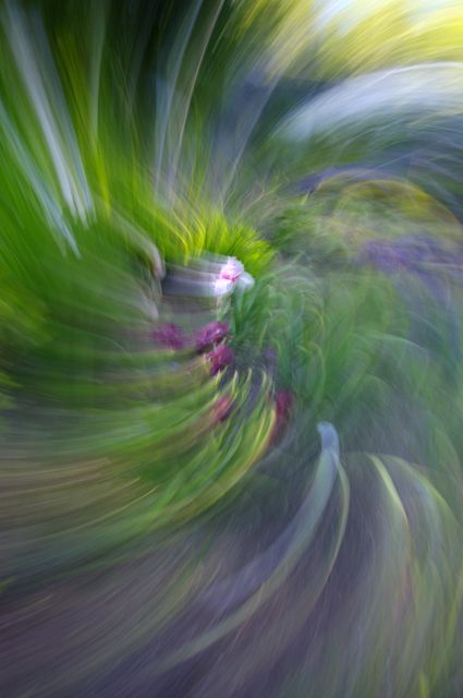 Ribbons in time