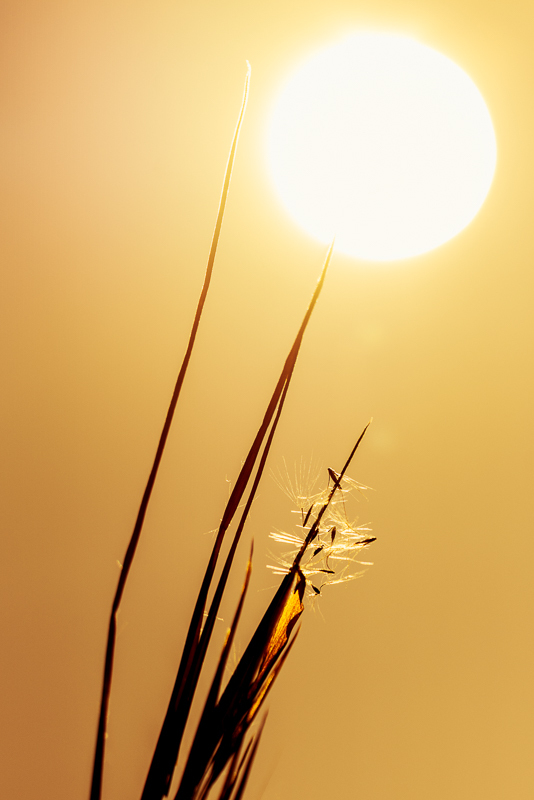 Piercing the Sun
