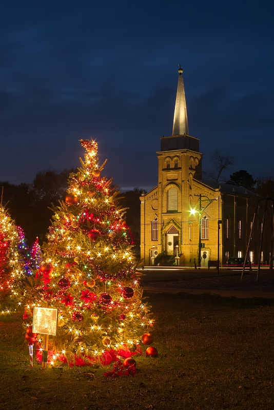 Christmas Tree(s)