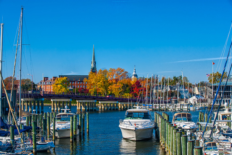 All Slips are Cozy in Annapolis