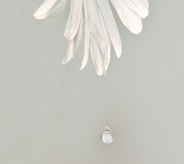 White on white