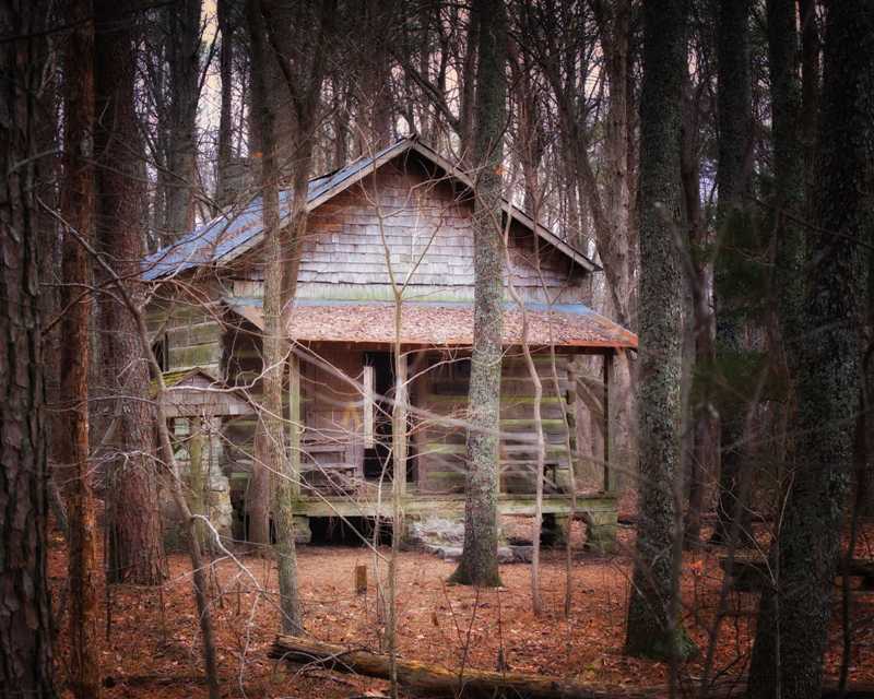 rustic cabin