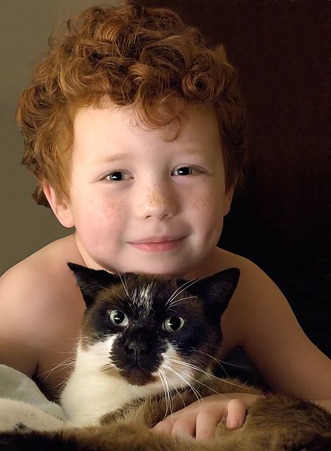 A cat and his boy