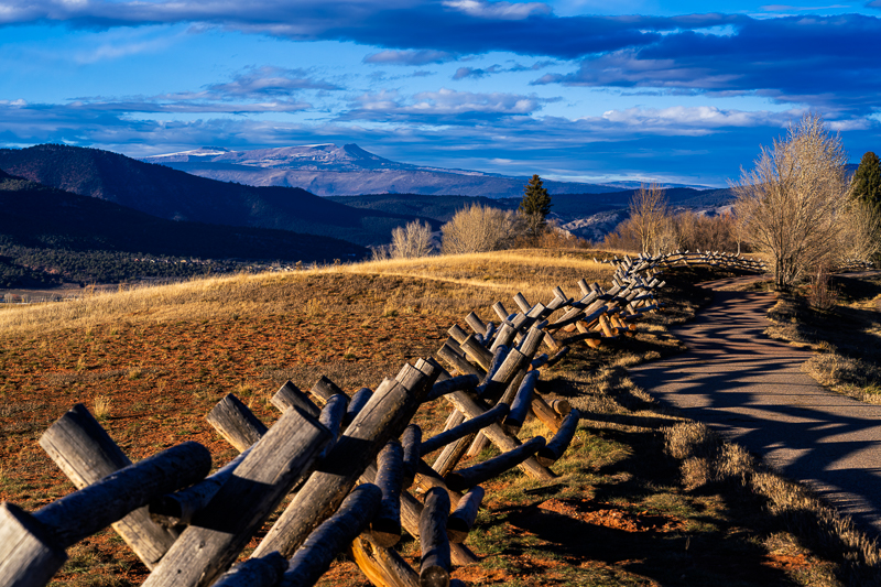 Fences