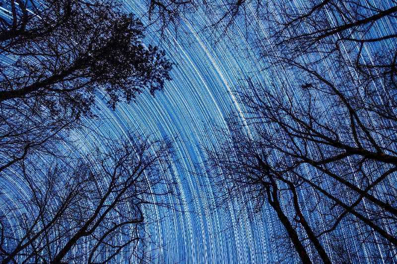 stars in motion
