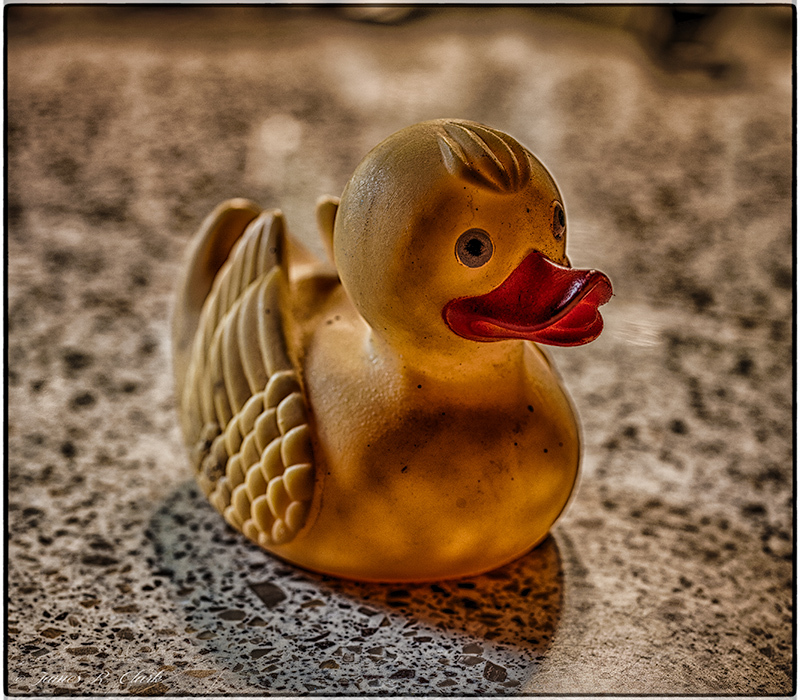 Dirty Duck