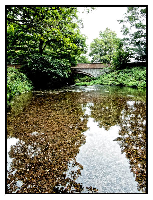 Celebrating the beauty of the English countryside
