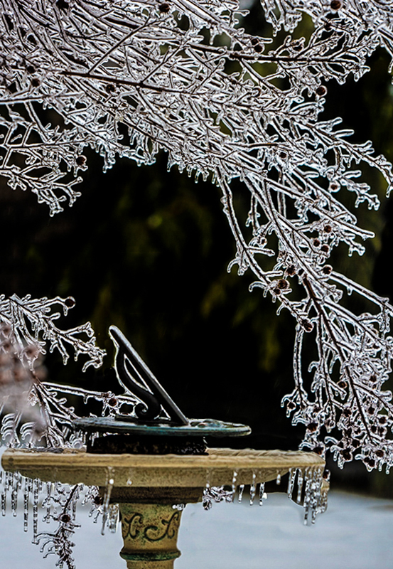 Frozen In Time