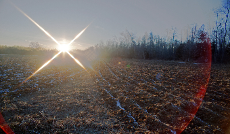Lens Flare