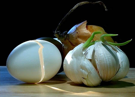 Macro Photography