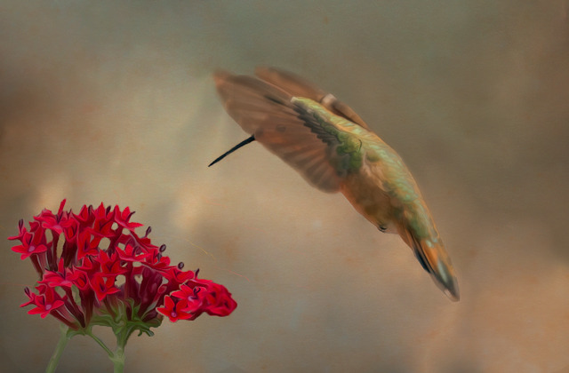 Flight - Edited Entry