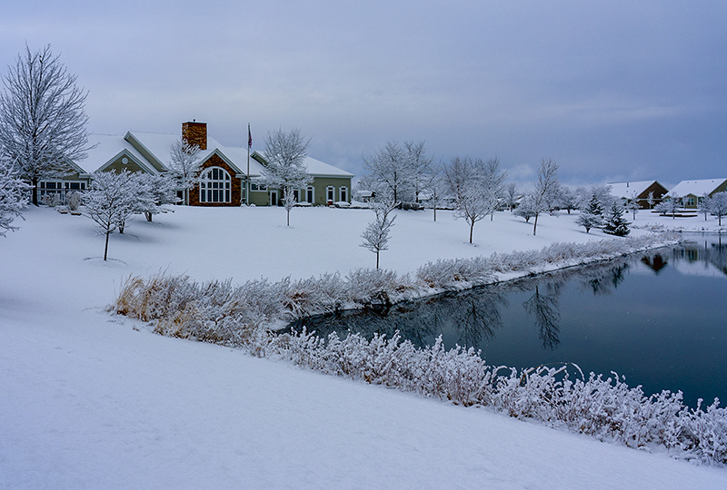 Still Winter
