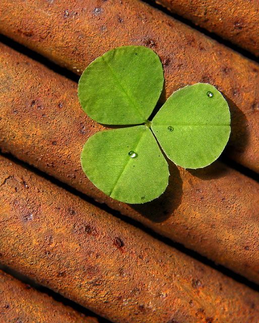 Rust for Luck