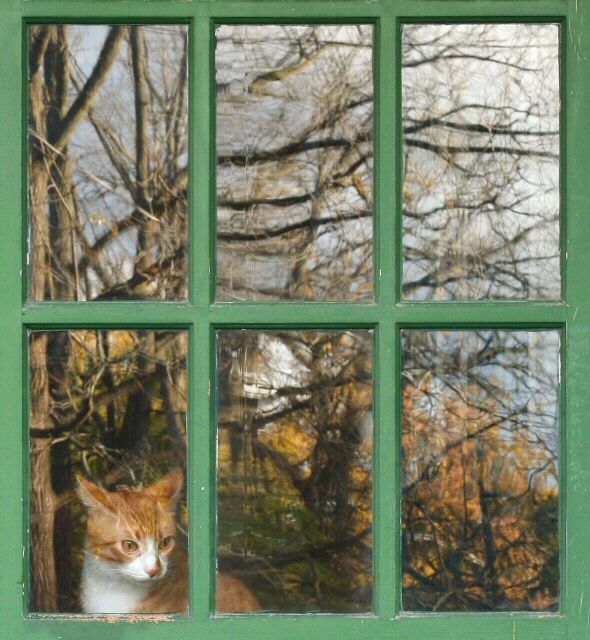 Framed