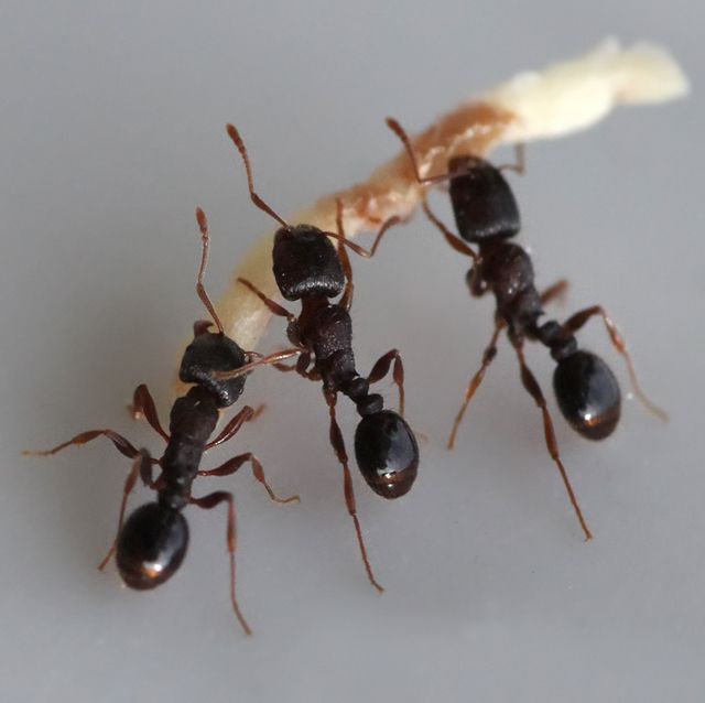 Power-Control-Teamwork