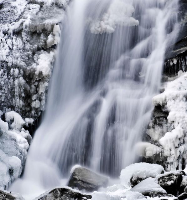Cottonwood falls