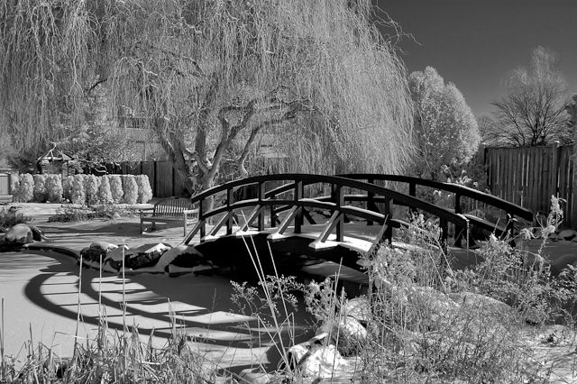 Winter Garden