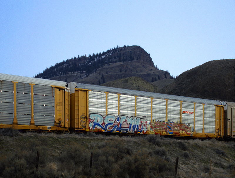 Freight Train Through the Mountains