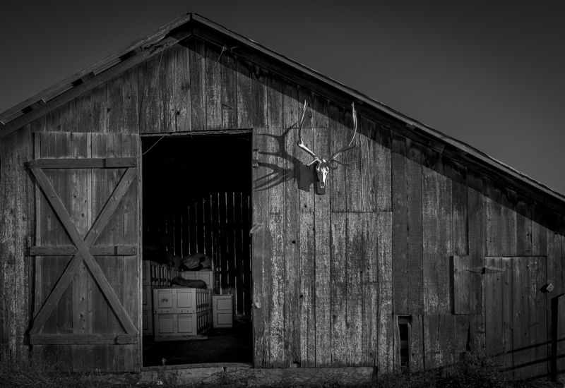 The Morgue