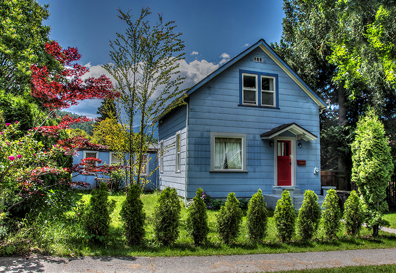 The blue house