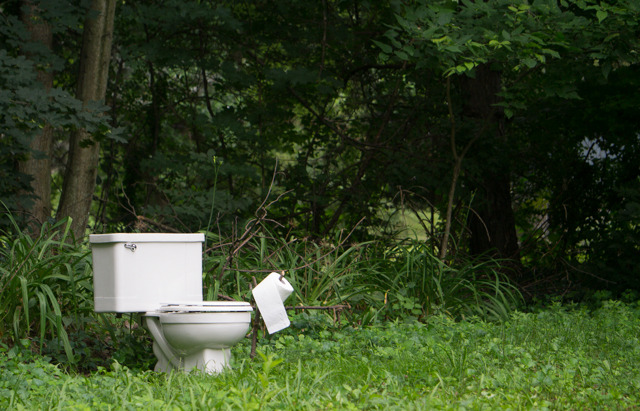 Loo