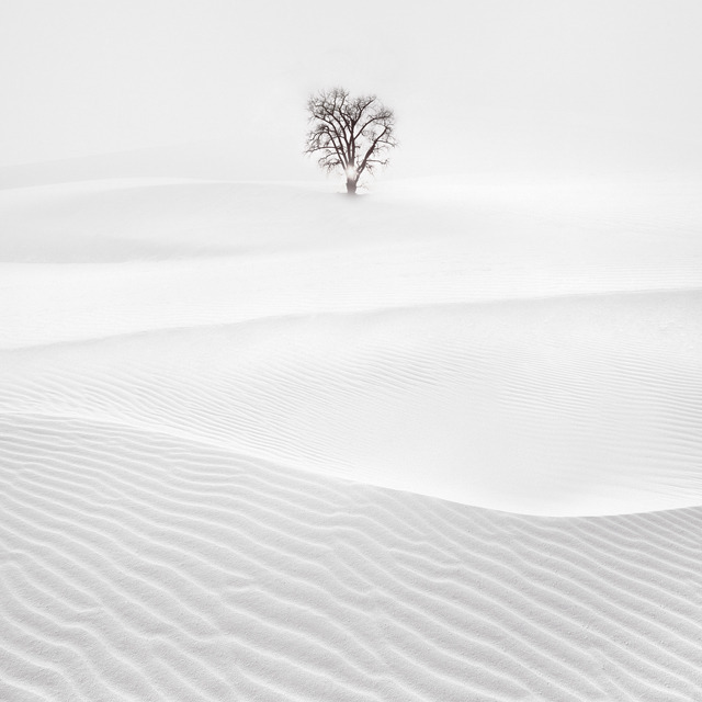 White on white
