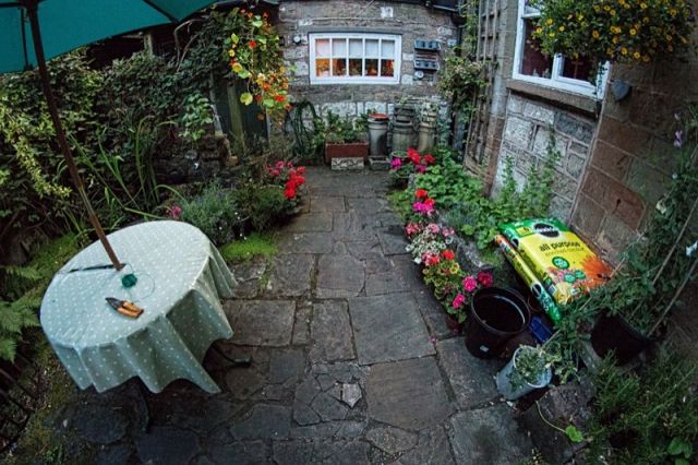 An Englishman�s Backyard