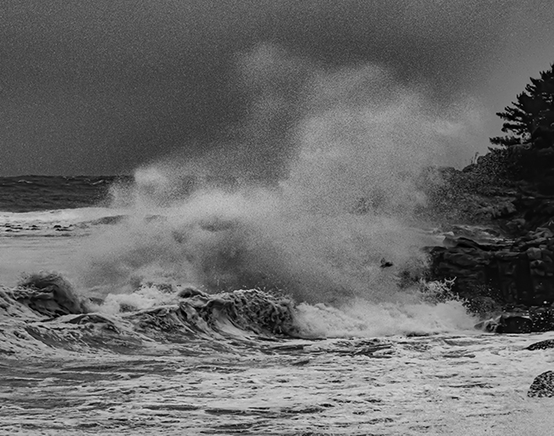 World Ocean Day