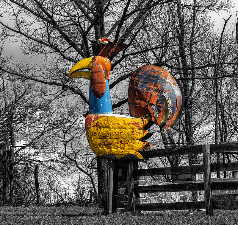 Rock Group- Metal Rooster