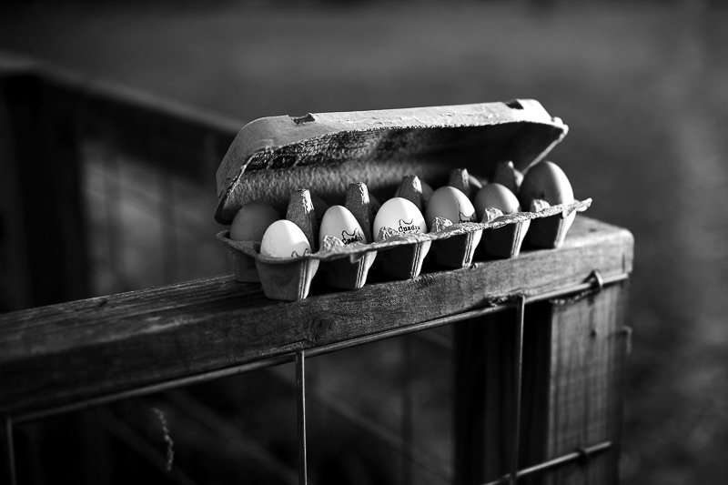 Egg branding