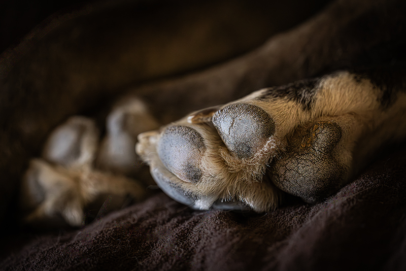 Bare Feet
