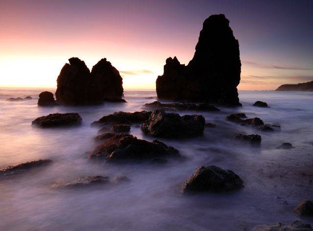 The Wild Pacific