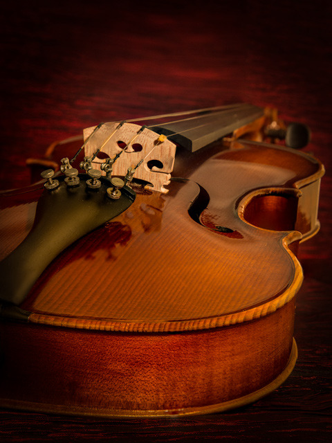 The Violin