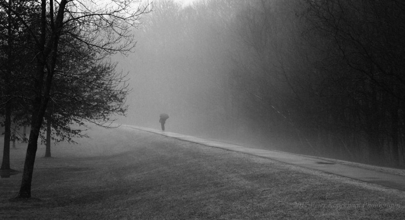 Lonely