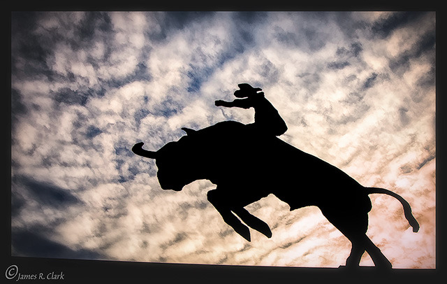 Bull Rider