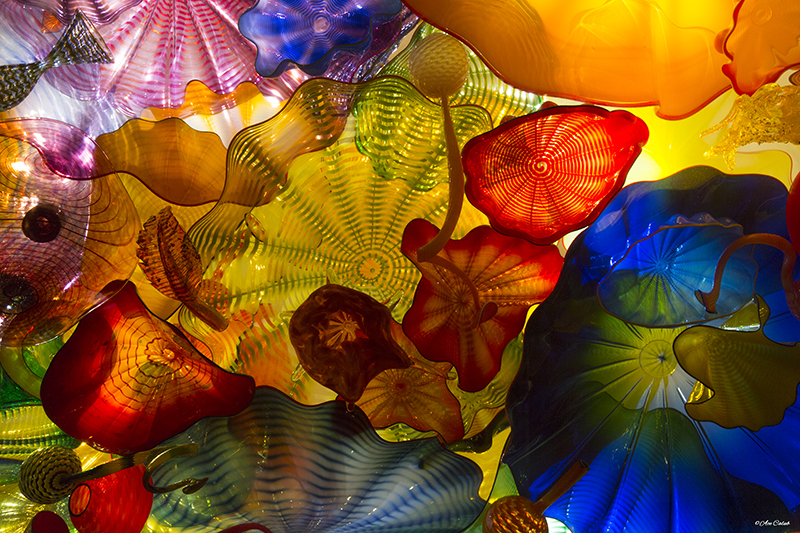 Color Chaos