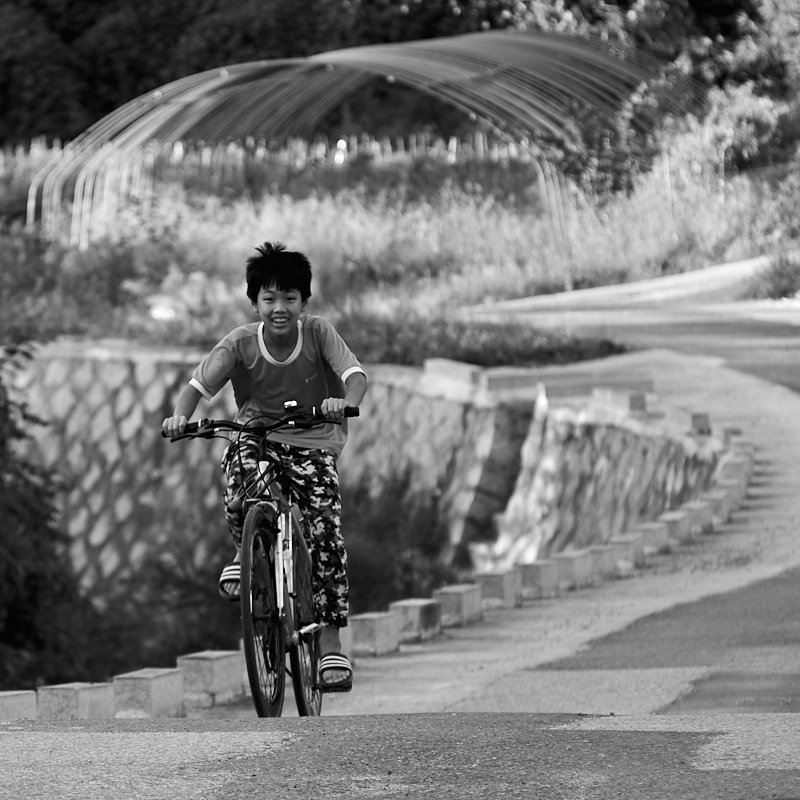 Joyful Rider
