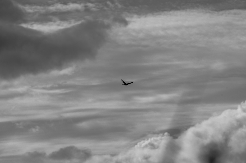 Afternoon Sky
