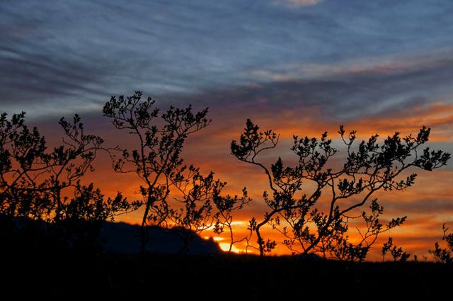 Desert dawn