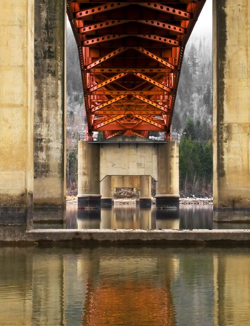 The bridge