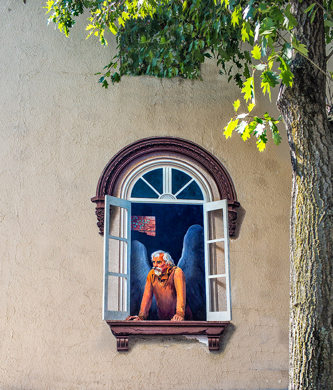 Window
