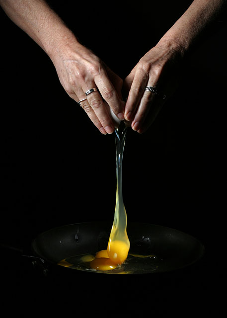 The Egg