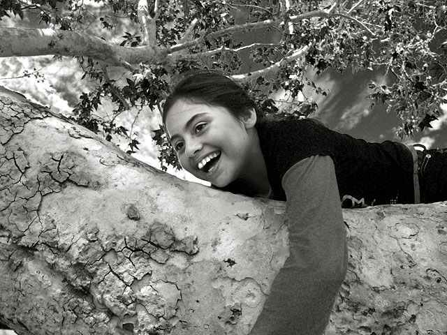 Gabby's Joy is Climbing a Tree