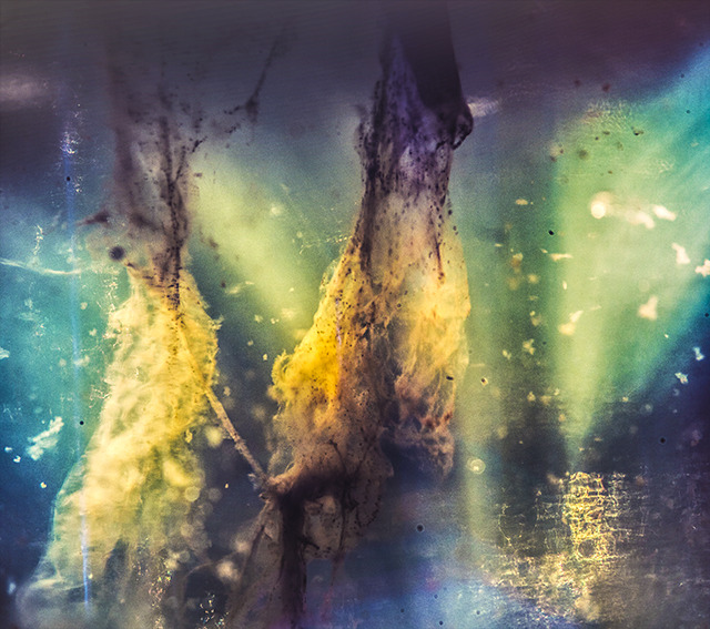Pillars of Creation