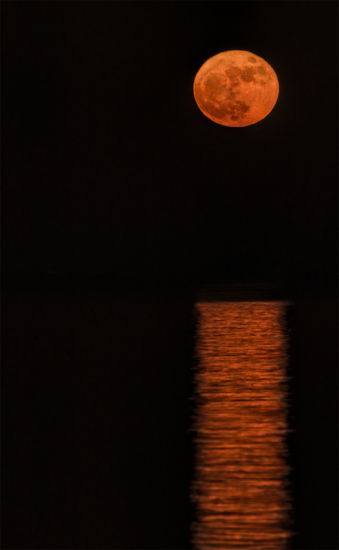 Moon Over the Lake